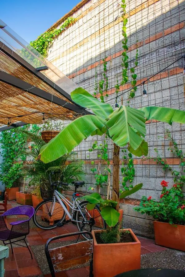Casa Cliche Hostel Medellin