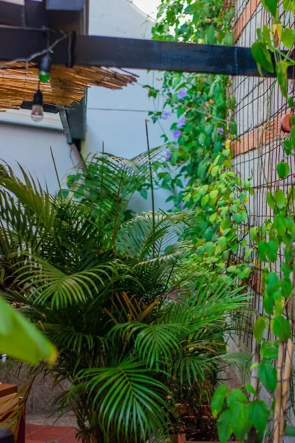 Casa Cliche Hostel Medellin